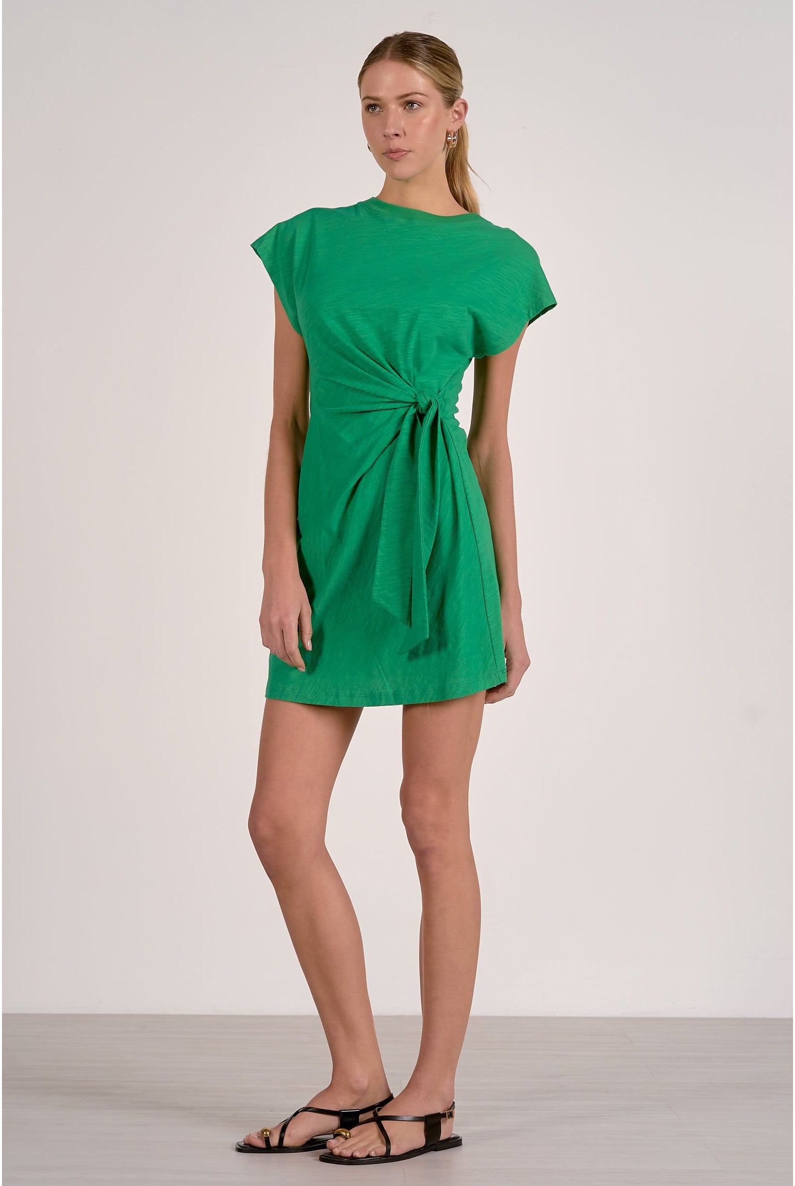 Elan Kinsley Dress shown in soft fabric with a fitted waist and flowing skirt, perfect for casual or semi-formal occasions.