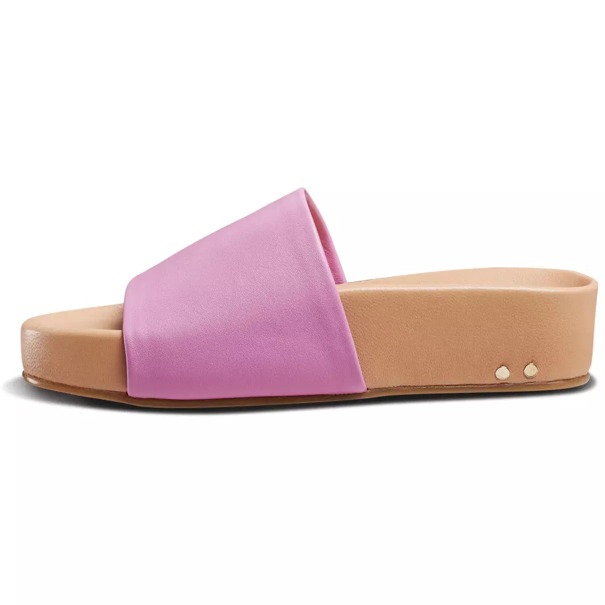 Pelican Lilac/Beach