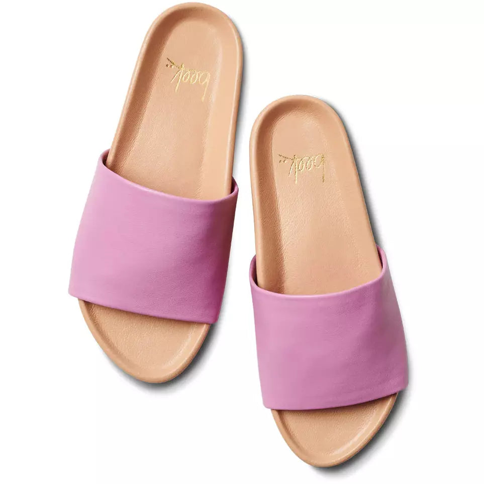 Pelican Lilac/Beach