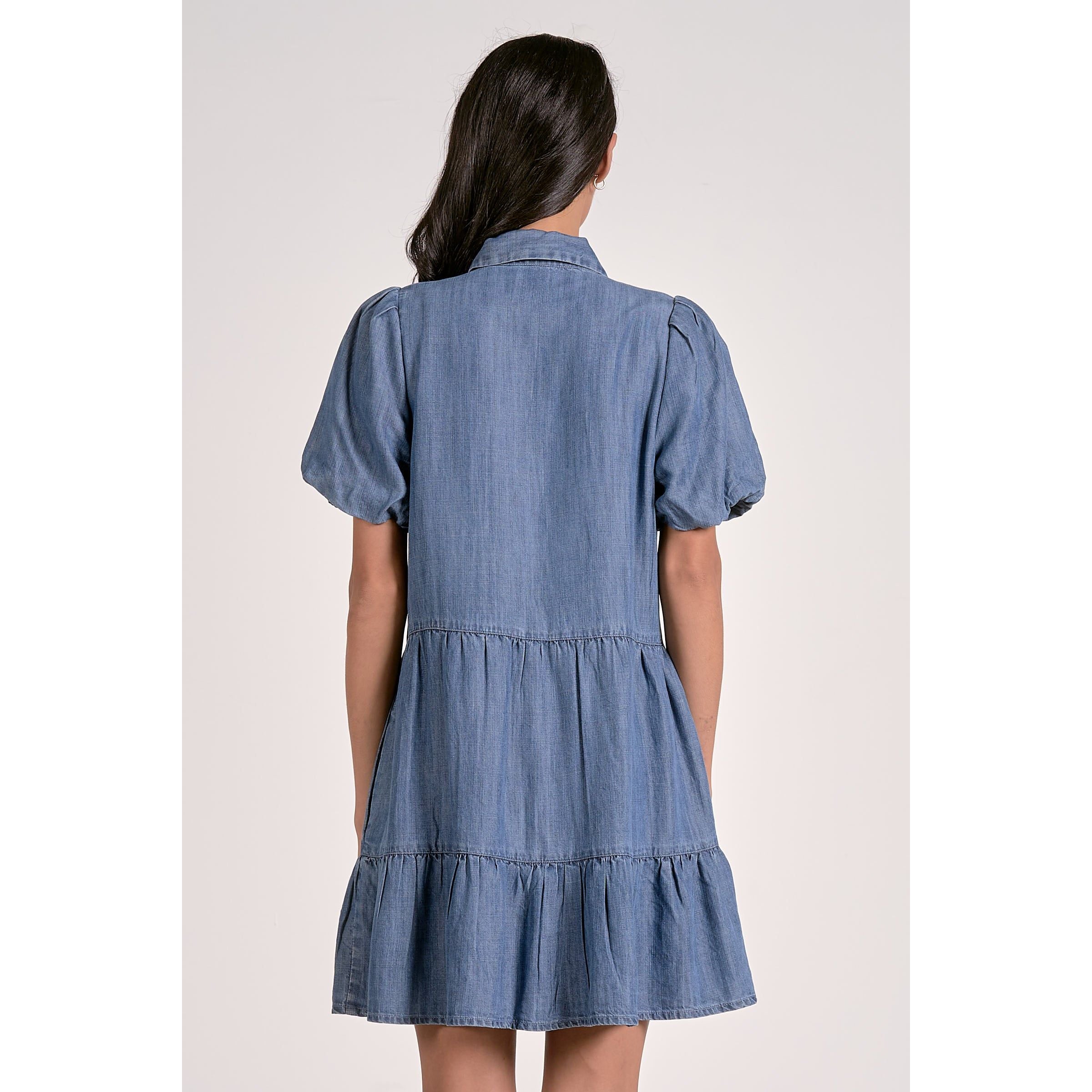 elanoliviadresspuffsleevsbuttonchambraydress