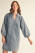 JodiflG16526denimshirtdresswhitney1
