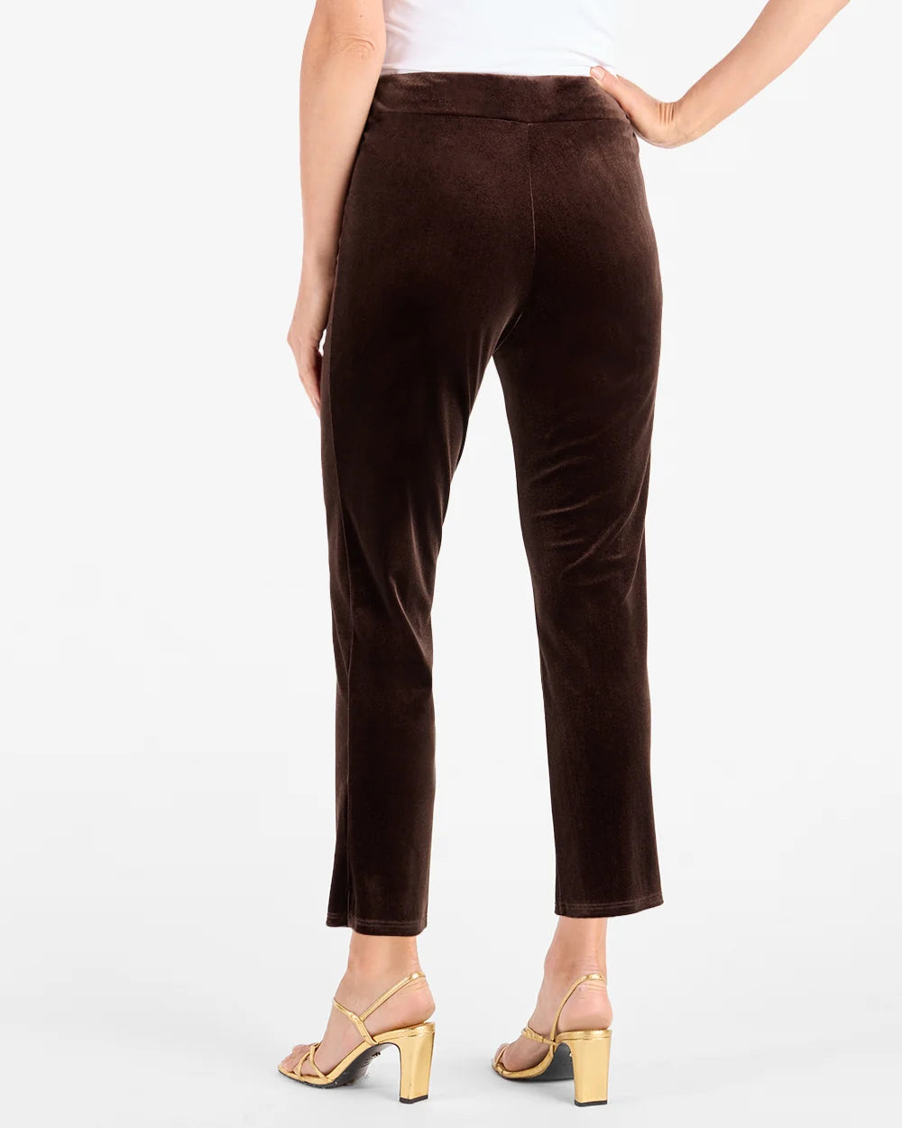 Lucia Velvet Pant Espresso by Jude Connally, style 208084, dark brown velvet pants showing waistband and back seams, back view