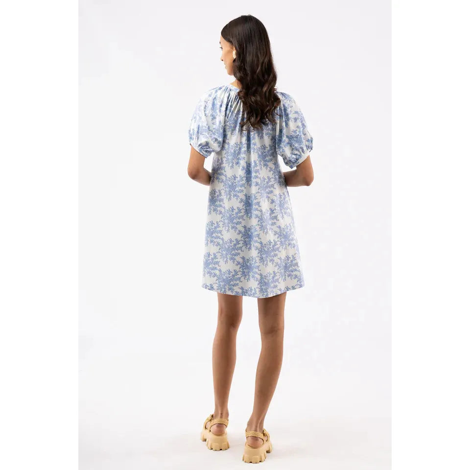 posie dress rose bushel blue smith&quinn