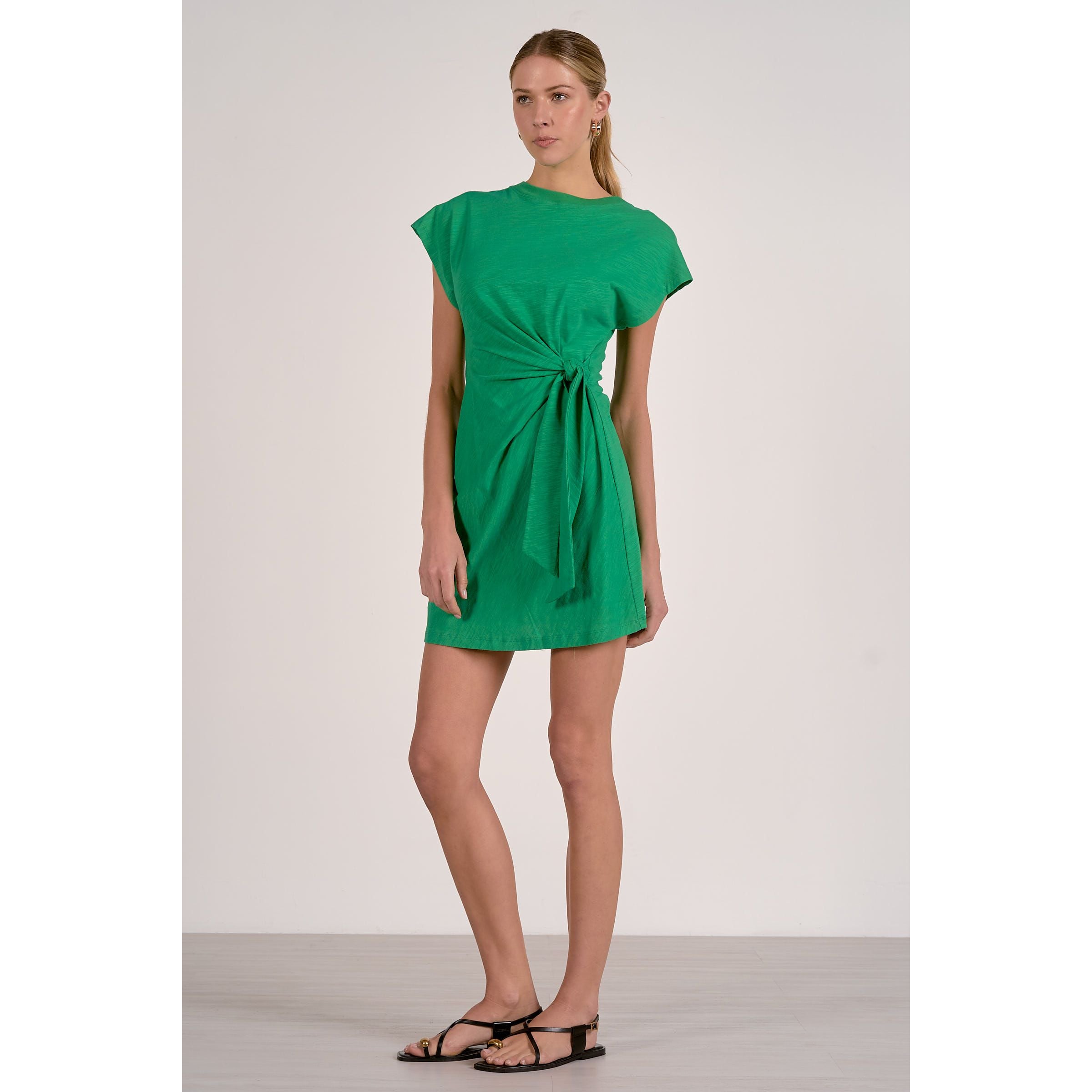 Elan Kinsley Dress shown in soft fabric with a fitted waist and flowing skirt, perfect for casual or semi-formal occasions.